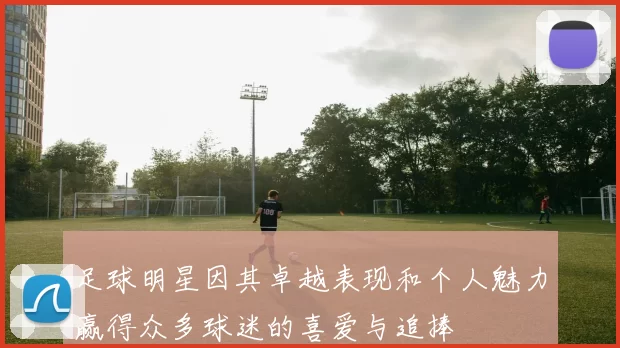 足球明星因其卓越表现和个人魅力赢得众多球迷的喜爱与追捧