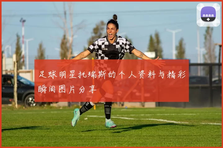 足球明星托瑞斯的个人资料与精彩瞬间图片分享