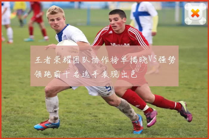 王者荣耀团队协作榜单揭晓V5强势领跑前十名选手表现出色