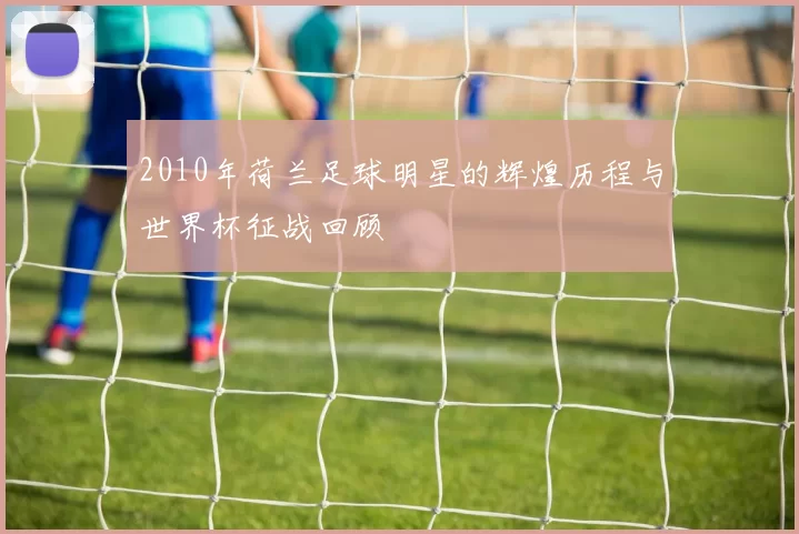 2010年荷兰足球明星的辉煌历程与世界杯征战回顾