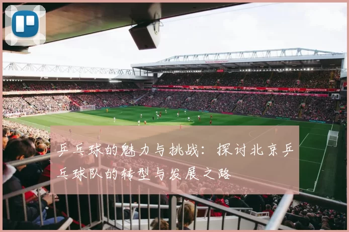 乒乓球的魅力与挑战：探讨北京乒乓球队的转型与发展之路