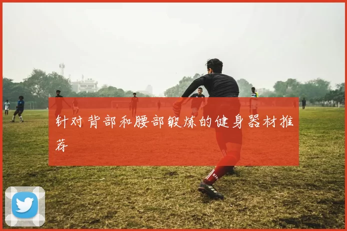 针对背部和腰部锻炼的健身器材推荐