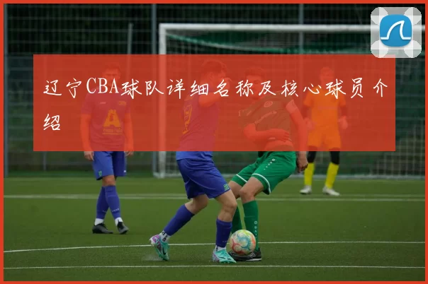 辽宁CBA球队详细名称及核心球员介绍