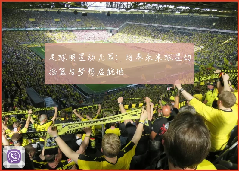 足球明星幼儿园：培养未来球星的摇篮与梦想启航地