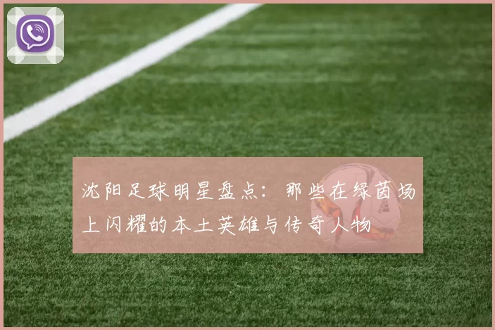 沈阳足球明星盘点：那些在绿茵场上闪耀的本土英雄与传奇人物