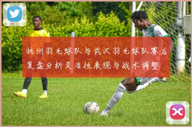 杭州羽毛球队与武汉羽毛球队赛后复盘分析灵活性表现与战术调整