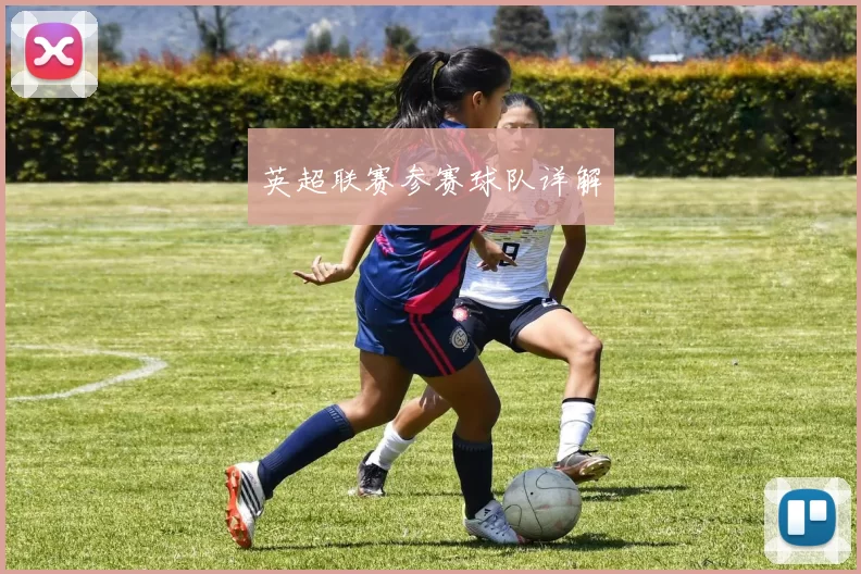 英超联赛参赛球队详解