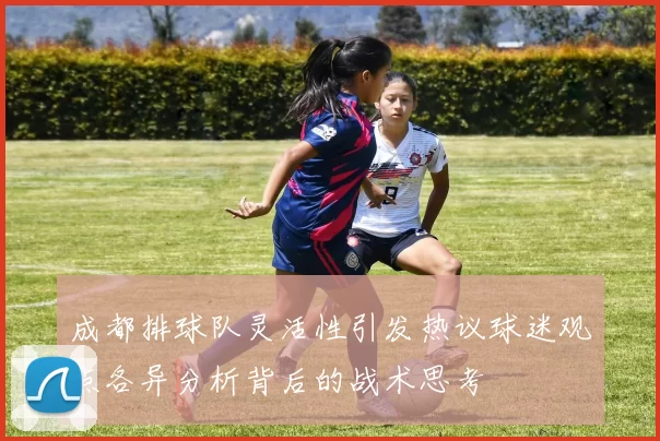 成都排球队灵活性引发热议球迷观点各异分析背后的战术思考