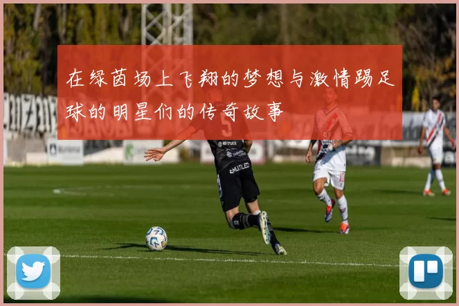在绿茵场上飞翔的梦想与激情踢足球的明星们的传奇故事