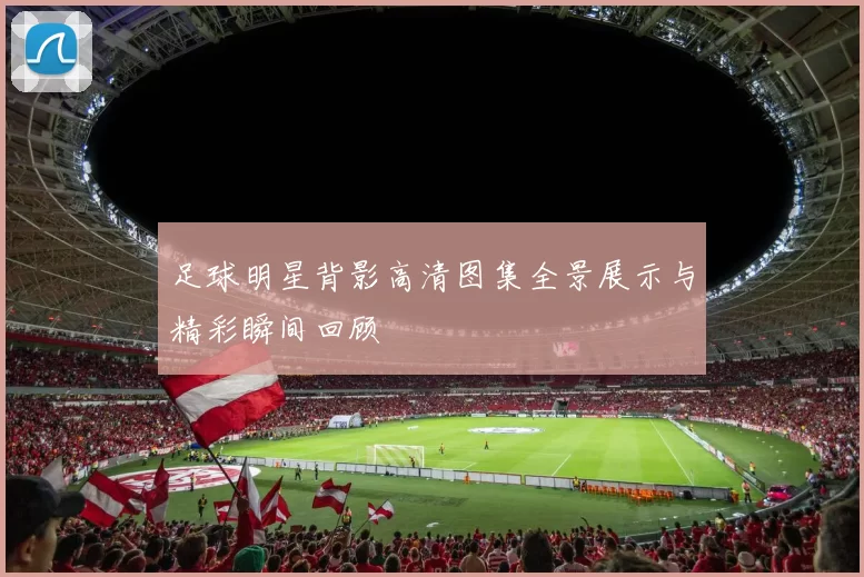 足球明星背影高清图集全景展示与精彩瞬间回顾