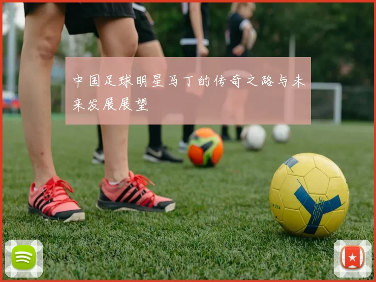 中国足球明星马丁的传奇之路与未来发展展望