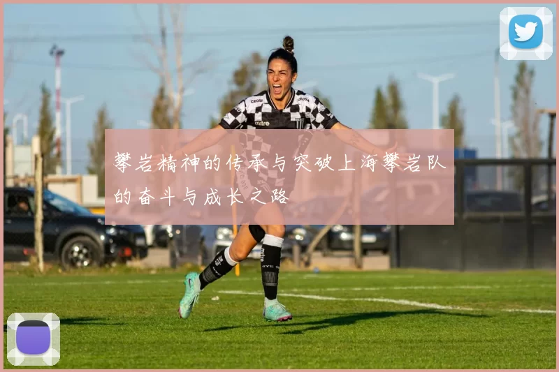 攀岩精神的传承与突破上海攀岩队的奋斗与成长之路