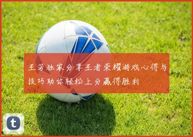 王芳独家分享王者荣耀游戏心得与技巧助你轻松上分赢得胜利