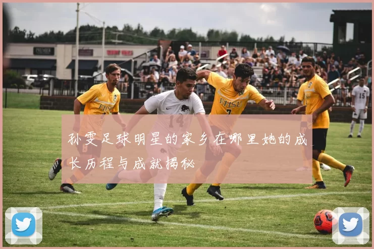 孙雯足球明星的家乡在哪里她的成长历程与成就揭秘