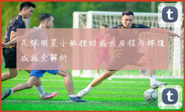 足球明星小狐狸的成长历程与辉煌成就全解析
