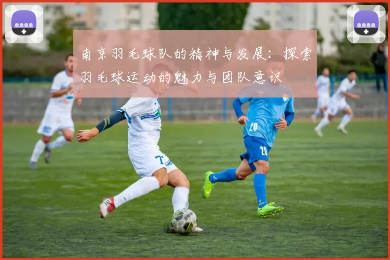 南京羽毛球队的精神与发展：探索羽毛球运动的魅力与团队意识