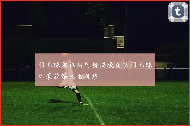 羽毛球意识排行榜揭晓南京羽毛球队荣获第九名佳绩