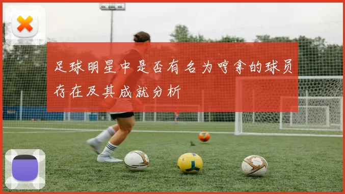 足球明星中是否有名为哼拿的球员存在及其成就分析