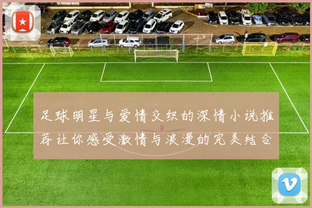 足球明星与爱情交织的深情小说推荐让你感受激情与浪漫的完美结合