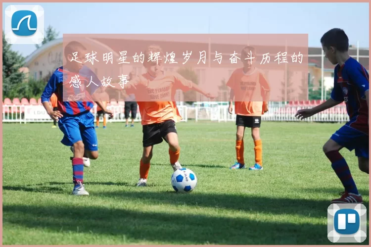 足球明星的辉煌岁月与奋斗历程的感人故事