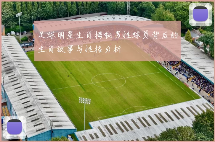 足球明星生肖揭秘男性球员背后的生肖故事与性格分析
